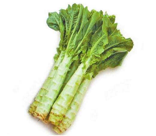 引領綠色潮流，加入蔬菜配送新時代